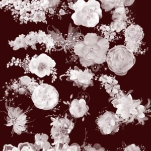 pinceaux de procreate (copie)