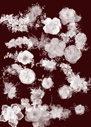 pinceaux de procreate (copie)