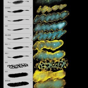 brush procreate xinxinsho